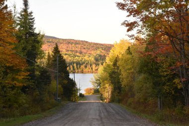 Sonbaharda göl yolu, Sainte-Apolline, Quebec, Kanada