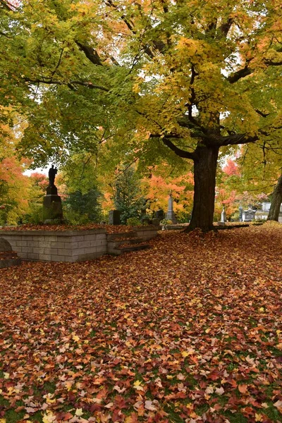 Sonbaharda bir mezarlık, Saint-Pierre, Quebec, Kanada