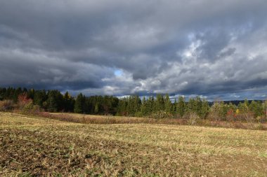Sonbahar hasadından sonra, Sainte-Apolline, Quebec, Kanada