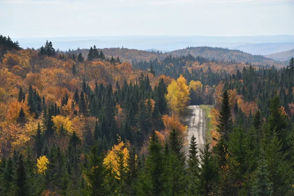 Une Forêt Mixte Automne Saint Aubert Québec Canada — Photo