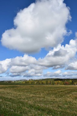 Hasattan sonra bir tarla, Quebec, Kanada