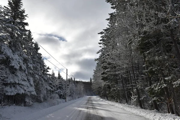 Una Strada Campagna Inverno Sainte Apolline Quebec Canada — Foto Stock