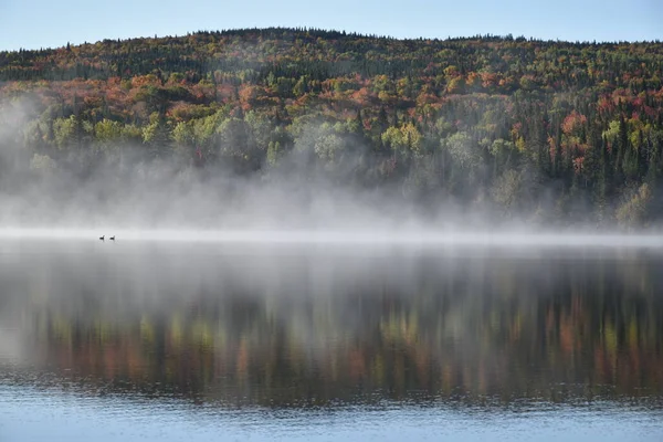 Jesienny Poranek Nad Jeziorem Sainte Apolline Quebec Kanada — Zdjęcie stockowe