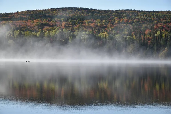 Egy Őszi Reggel Tónál Sainte Apolline Quebec Kanada — Stock Fotó