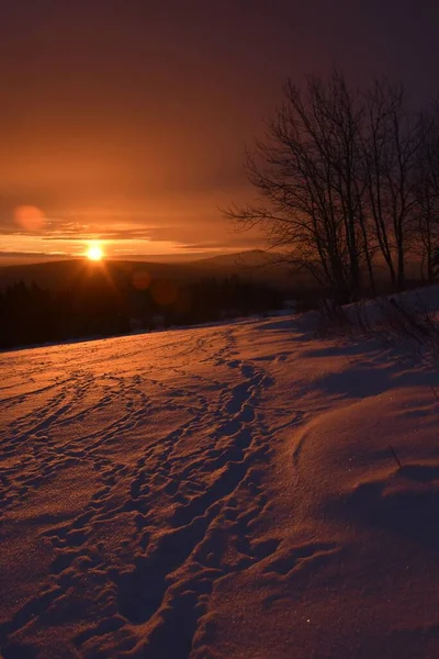 Ein Sonnenaufgang Einem Kalten Morgen Sainte Apolline Quebec Kanada — Stockfoto