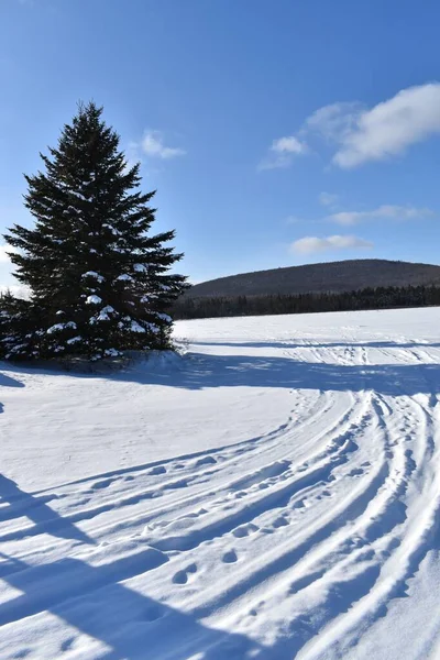 Una Pista Motoslitte Inverno Lac Frontiere Quebec Canada — Foto Stock