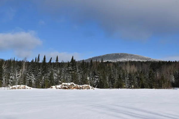 Bulutlu bir gökyüzünün altında karlı bir tarla, Quebec, Kanada