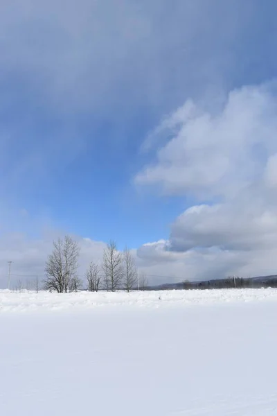 Bulutlu bir gökyüzünün altında karlı bir tarla, Sainte-Apolline, Quebec, Kanada