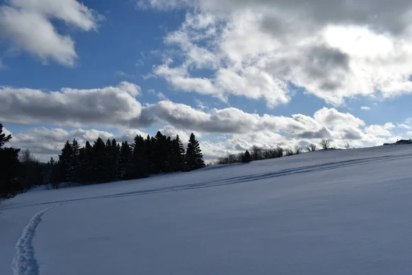 Een Bewolkte Lucht Winter Sainte Apolline Quebec Canada — Stockfoto