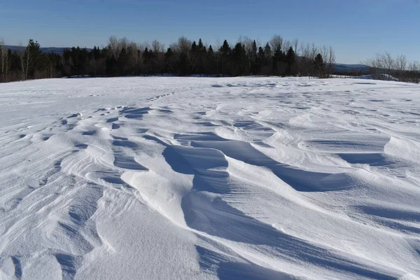 Bir arazide kar yağışı, Sainte-Apolline, Quebec, Kanada