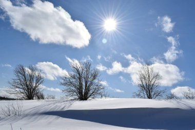 Güneşli bir kış günü, Sainte-Apolline, Quebec, Kanada