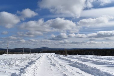 Bir bahar günü bir tarla, Sainte-Apolline, Quebec, Kanada