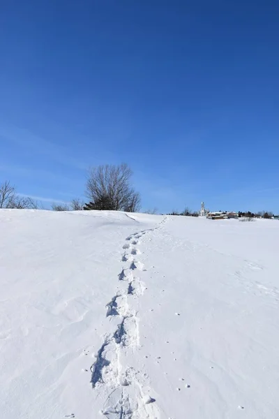 Karda kar ayakkabısı izleri, Sainte-Apolline, Quebec, Kanada