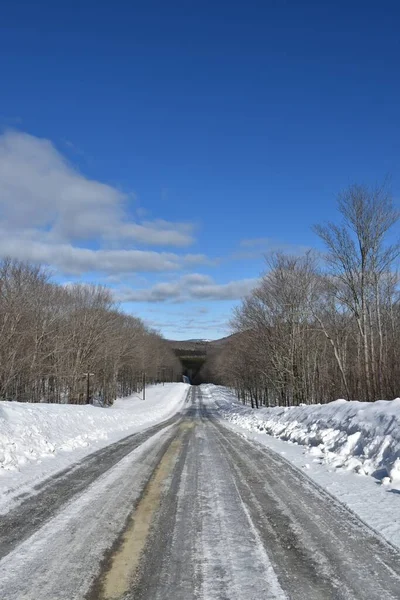 Baharda bir köy yolu, Quebec, Kanada