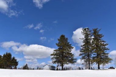 Baharın ilk günleri, Sainte-Apolline, Quebec, Kanada