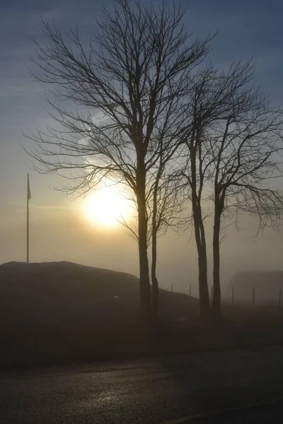 Foggy Spring Morning Sainte Apolline Quebec Canada — Photo