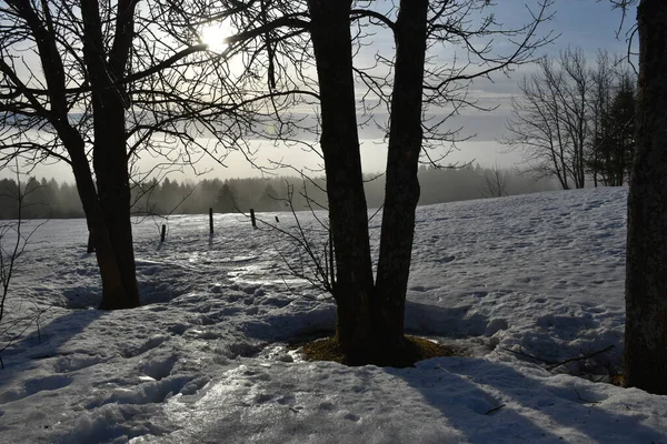 Una Mattina Primavera Nebbiosa Sainte Apolline Quebec Canada — Foto Stock