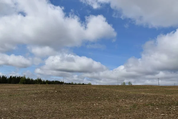 Ein Feld Frühling Unter Einem Bewölkten Himmel Sainte Apolline Quebec — Stockfoto