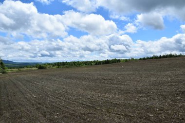 Sainte-Apolline, Quebec, Kanada 'dan önce baharda ekilen bir arazi