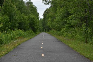 Yazın bisiklet yolu, Armagh, Quebec, Kanada
