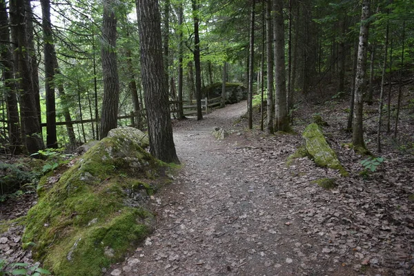 Path Falls Armagh Quebec Canada — Stock Photo, Image