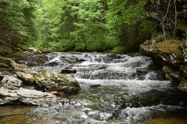 Yazın bir nehir, Quebec, Kanada