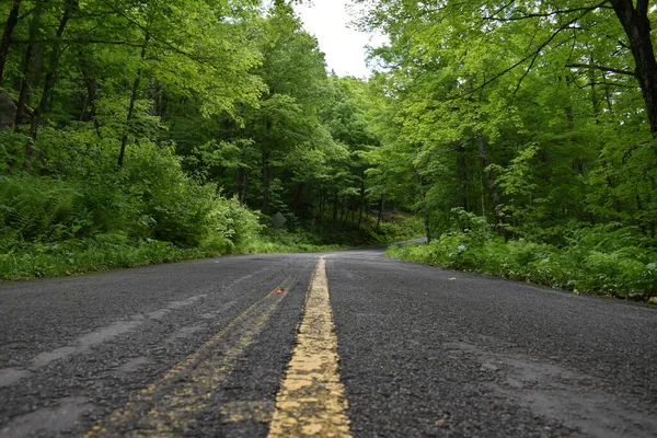 Weg Naar Het Meer Zomer Saint Aubert Quebec Canada — Stockfoto