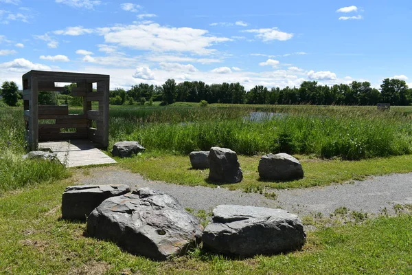 Yazın bataklık parkı, Montmagny, Quebec, Kanada