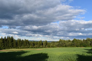 Bulutlu bir gökyüzünün altında ekili bir tarla, Sainte-Apolline, Quebec, Kanada