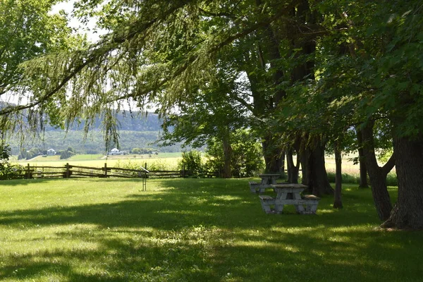 Bir parkta masalar, Quebec, Kanada