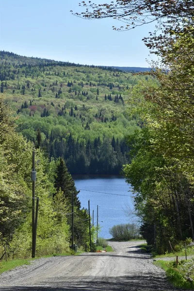 Route Lac Printemps Sainte Apolline Québec Canada — Photo