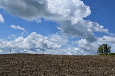 Ekmeden önce baharda bir tarla, Sainte-Apolline, Quebec, Kanada