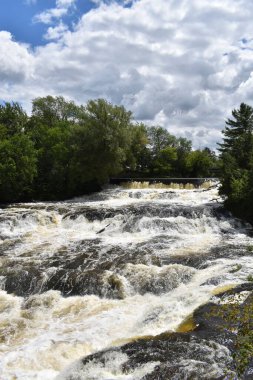 A river in summer, Kingsey Falls, Quebec, Canada