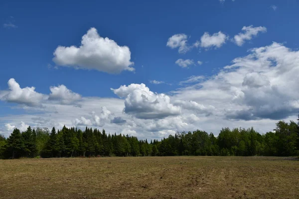 Ekmeden önce baharda bir tarla, Sainte-Apolline, Quebec, Kanada