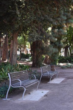 İspanya, Malaga 'da halka açık bir parkta banklar