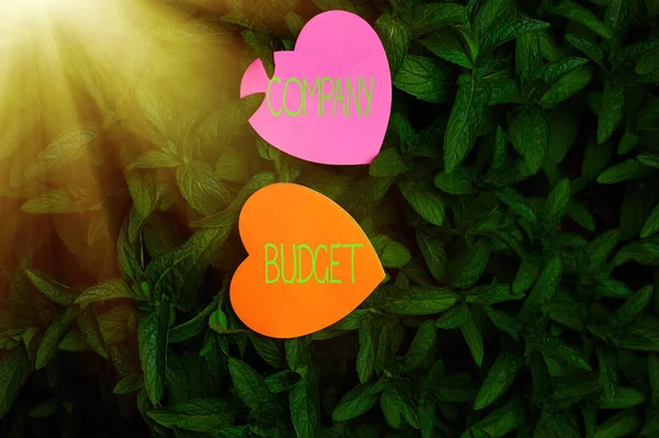 El yazısı şirketi bütçesi. Kavramsal fotoğraf. Belirli bir süre için finansal plan. Genellikle bir yıl boyunca açık doğa yapraklı Bush 'un üstünde kalp şekilli kağıt..