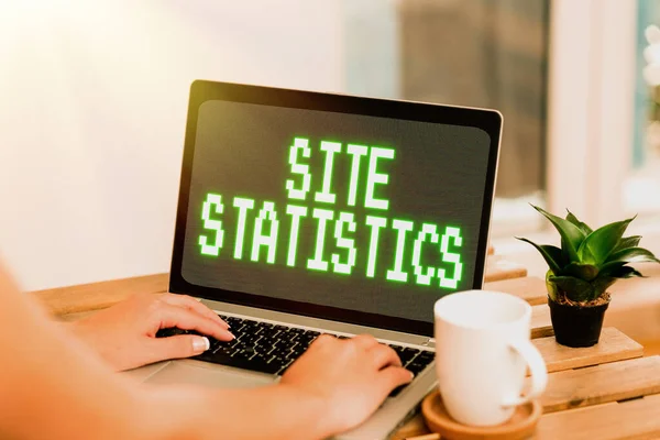 Conceptual display Site Statistics. Word for measurement of behavior of visitors to certain website Online Jobs And Working Remotely Connecting People Together