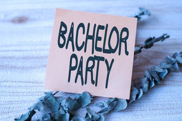 Hand writing sign Bachelor Party. Business showcase Party given for a man who is about to get married Stag night Piece Of Blank Square Note Surrounded By Laundry Clips Showing New Idea. — Stock Photo, Image