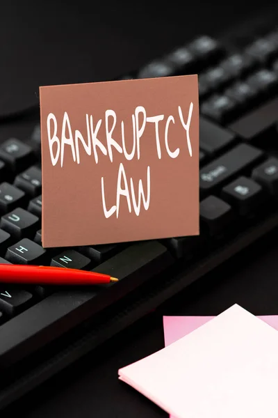 Bankruptcy Law 를 보여 주는 텍스트 사인. 채무자가 새로운 안티 바이러스 프로그램 코드를 개발하고 파일 시스템을 조직하는 데 도움을 주도록 설계된 사업 개요 — 스톡 사진