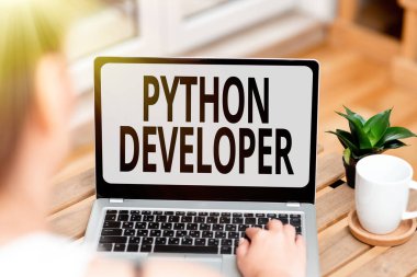 Metin Python Geliştirici yazılıyor. Sunucu tarafındaki web uygulama mantığının yazımından sorumlu iş fikri: Ses ve Video Çağrı Yetenekleri İnsanları Birleştiren