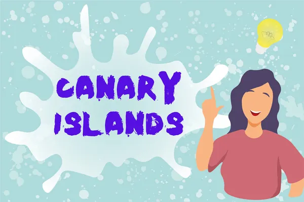 Handschriftlicher Text. Business präsentiert eine Gruppe bergiger Inseln im Atlantik Lady Illustration Discovery Neue Ideenlampe mit Sprechblase. — Stockfoto