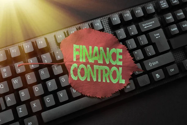 Conceptual caption Finance Control. Obchodní přístup postupy, které jsou prováděny pro správu financí Vkládání důležitých informací Online, Psaní Funny Internet Blog — Stock fotografie