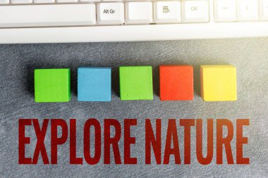 Kavramsal ekran Doğayı Keşfeder. Kavram demek, kırsal alanın keşfetmek demek. Yüzeyde çeşitli renklerle cilalanmış, Yaban Hayatı Gezisi Örnek Küp Kutuları Yığını.