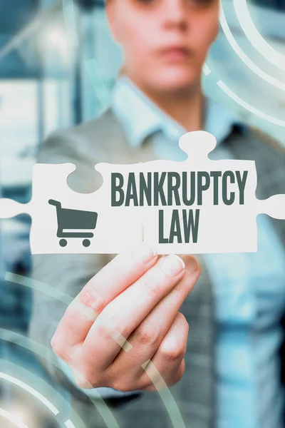 Bankruptcy Law 를 보여 주는 텍스트 사인. 채무자가지 그 톱을 들고 새로운 미래 기술을 개발하는 데 도움을 주도록 설계된 사업 전반. — 스톡 사진