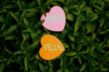 Bugünün kavramsal başlığı 