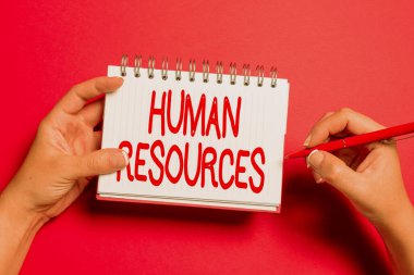 İnsan Kaynaklarını gösteren metin başlığı. İnternet Konsepti Yeni Fikirler Yazan ve Önemli Notlar Alırken Bilgi Veren bir organizasyonun iş gücünü kimin oluşturduğunu gösteren gösterme
