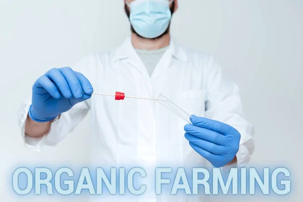 문서 작성 : Organic Farming. 비즈니스 개념은 지속 가능성을 위해 노력하는 통합 농업 시스템이다 . Dr. Explaining Laboratory Test Result, Nurse gather Specimen For Testing — 스톡 사진