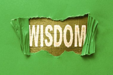 Bilgeliği gösteren bir işaret. İş konsepti kalitesi tecrübe ve iyi muhakemeye sahip olmak Yeni Fırsatlar Yeni Fikirler Bulmak Yeni Atılım Sınırları