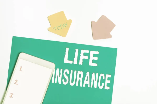Conceptual caption Life Insurance. Word for Payment of death benefit or injury Burial or medical claim Display of Different Color Sticker Notes Arranged On flatlay Lay Background — Stock Photo, Image
