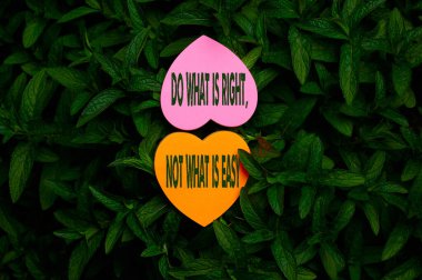 Metin yazmak: Doğru olanı yap, kolay olanı değil. Doğa Yaprakları Çalılığı 'nın Üzerinde Doğru Yürek Şeklinde Kağıt Gösterisi.